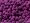 hrcko-purple-8-detail.jpg